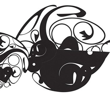 john zorn in a convex mirror